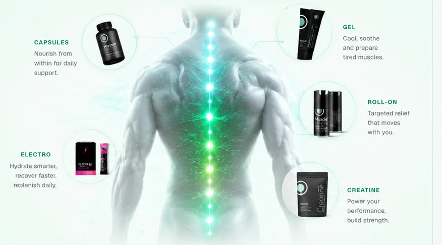 How the system maps to the body — capsules nourish from within, gel and roll-on for targeted relief, and electro to replenish what you sweat out