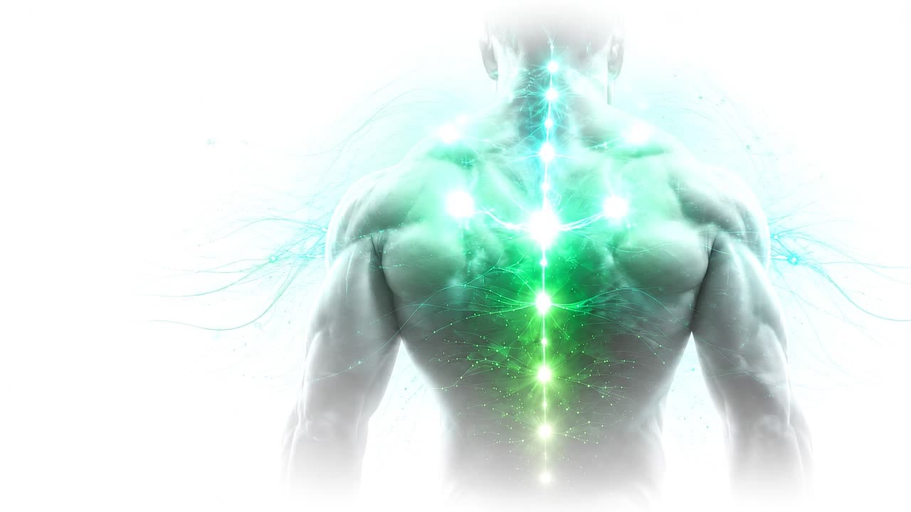 Muscle Miracle recovery — the body, recovering
